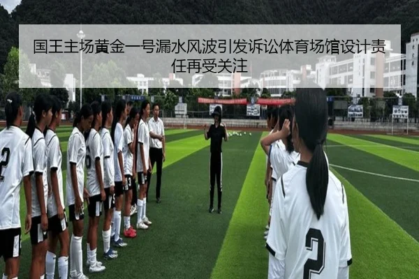 国王主场黄金一号漏水风波引发诉讼体育场馆设计责任再受关注